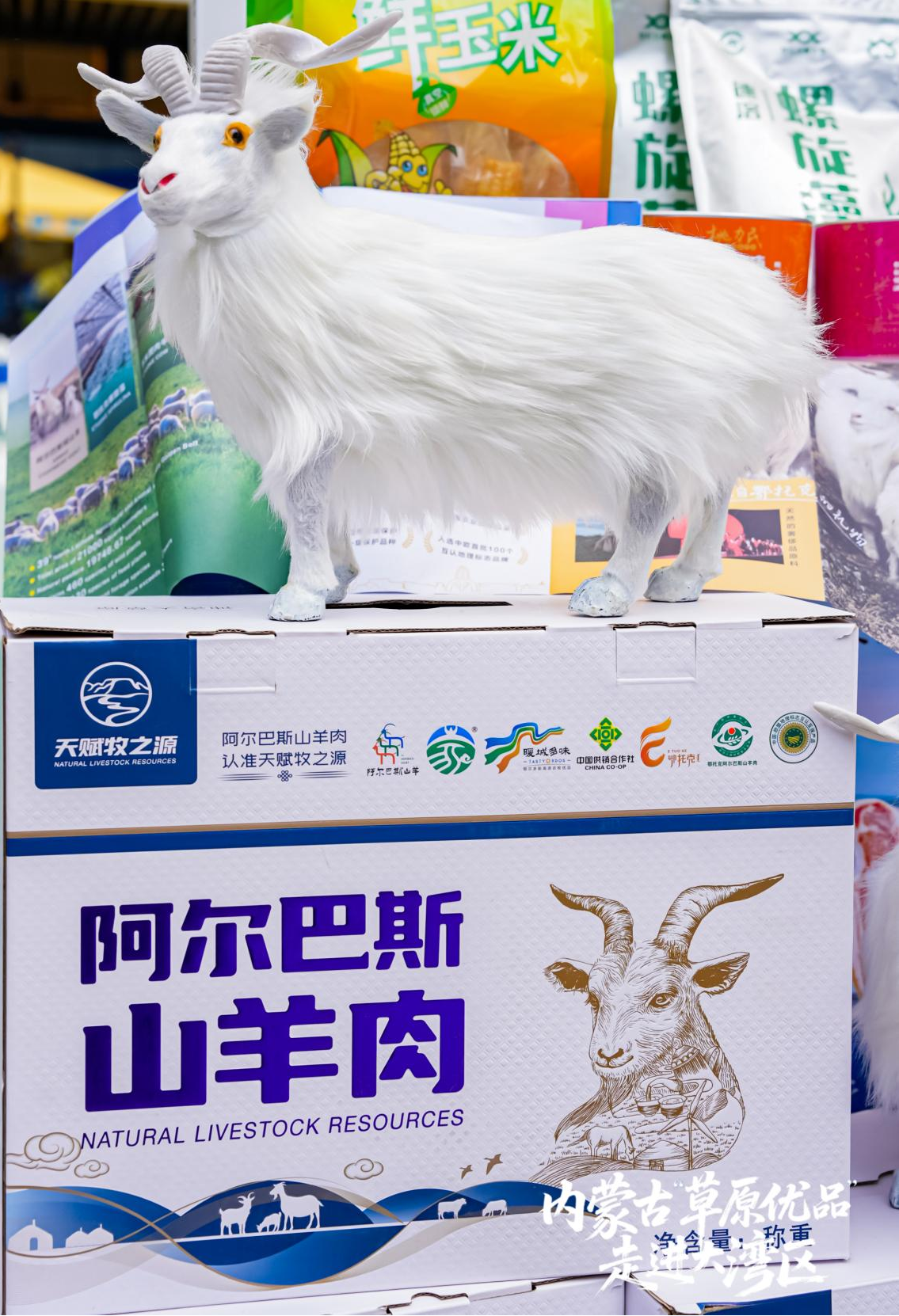 图片3.png a08aeedd9b8b4f9cba7ce9e981a3616a.png