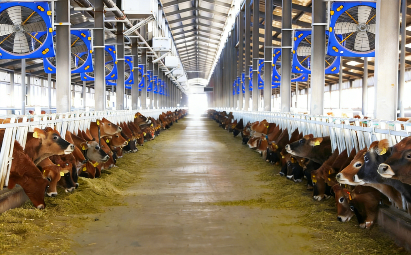 图片3.png 5d729a8790244b9984ade4f8cbd36a16.png