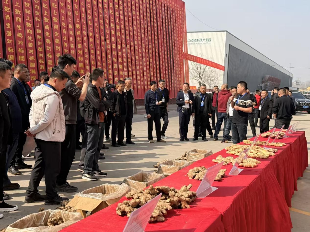 9.jpg 35137569617e4906b04985eac3d6889a.jpeg