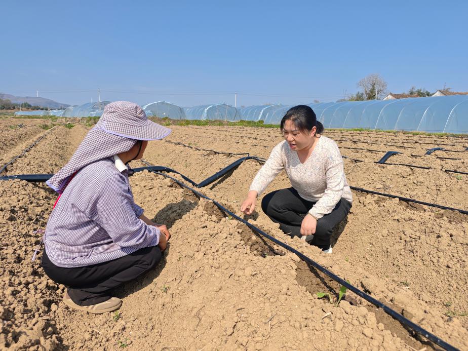 be195fb6a2644090bb9bcaf5d97c3270.jpeg be195fb6a2644090bb9bcaf5d97c3270.jpeg