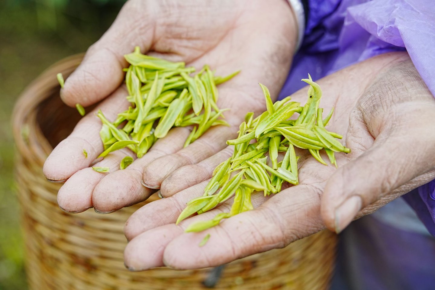 afea036ec4a84d949fd69269c26f3a46.jpeg afea036ec4a84d949fd69269c26f3a46.jpeg