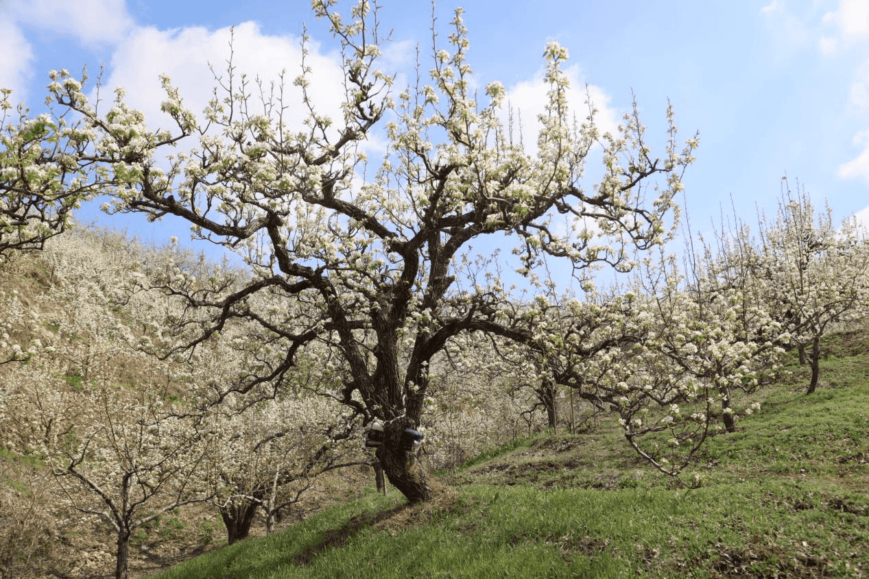 图片2.png c4a943bf4921495c9be122758de8f46d.png