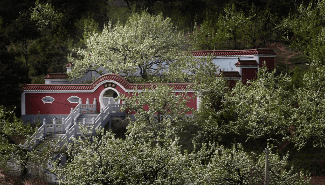 图片1.png 5e30f86df7b24223b2076ec303c514c4.png