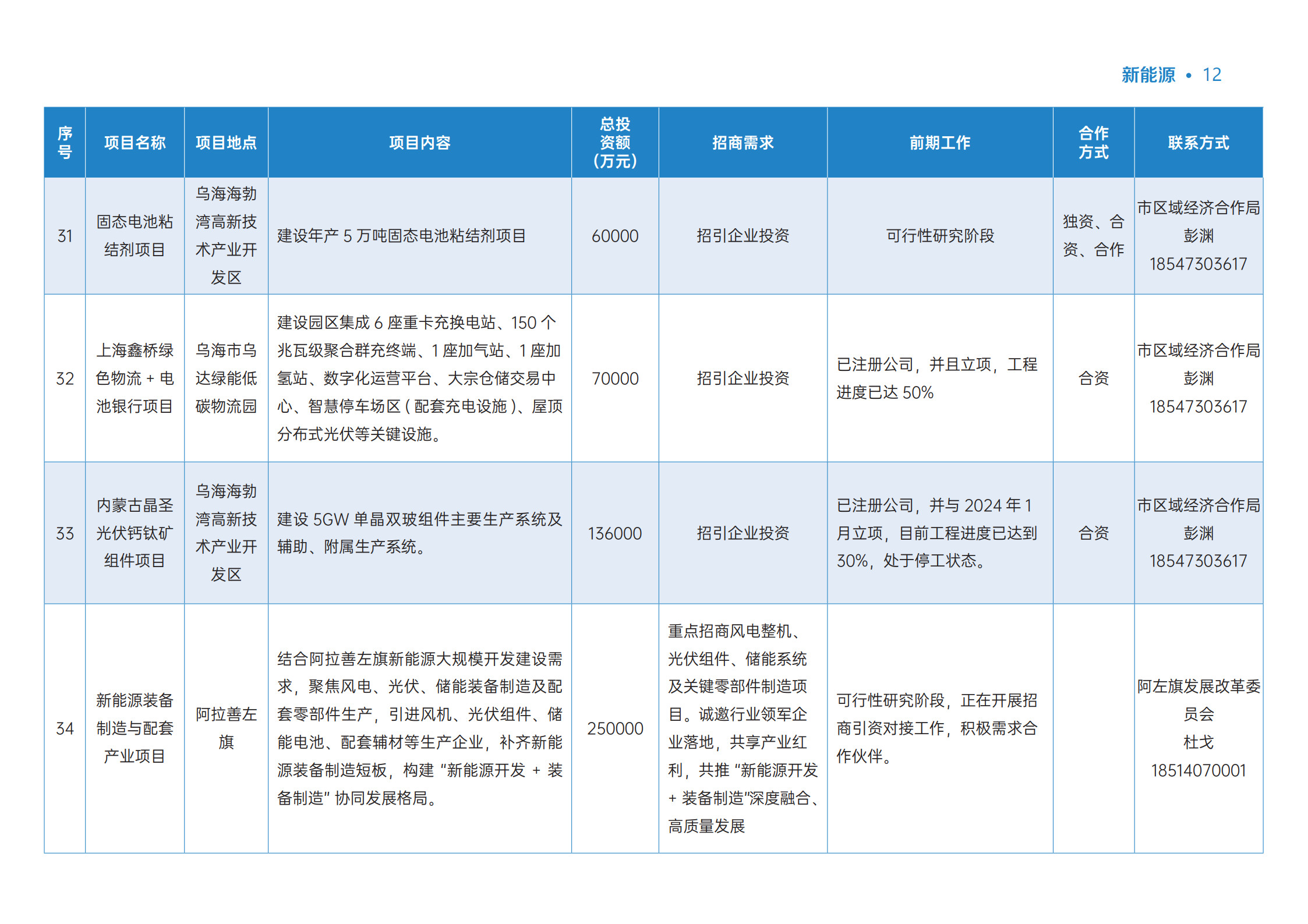 2026年新能源产业重点经合项目(1)_13.jpg 2026年新能源产业重点经合项目(1)_13.jpg