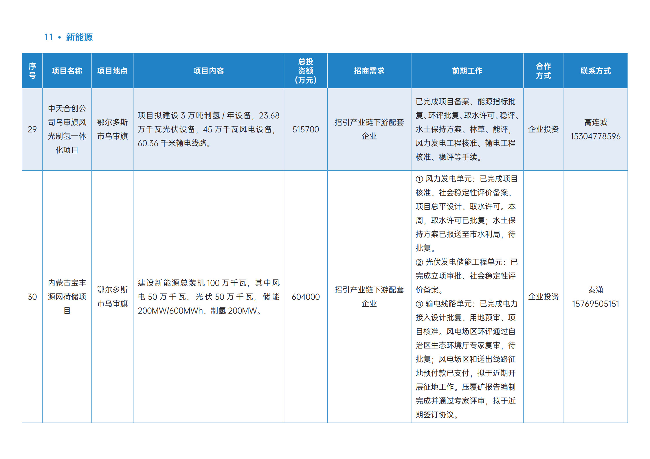 2026年新能源产业重点经合项目(1)_12.jpg 2026年新能源产业重点经合项目(1)_12.jpg