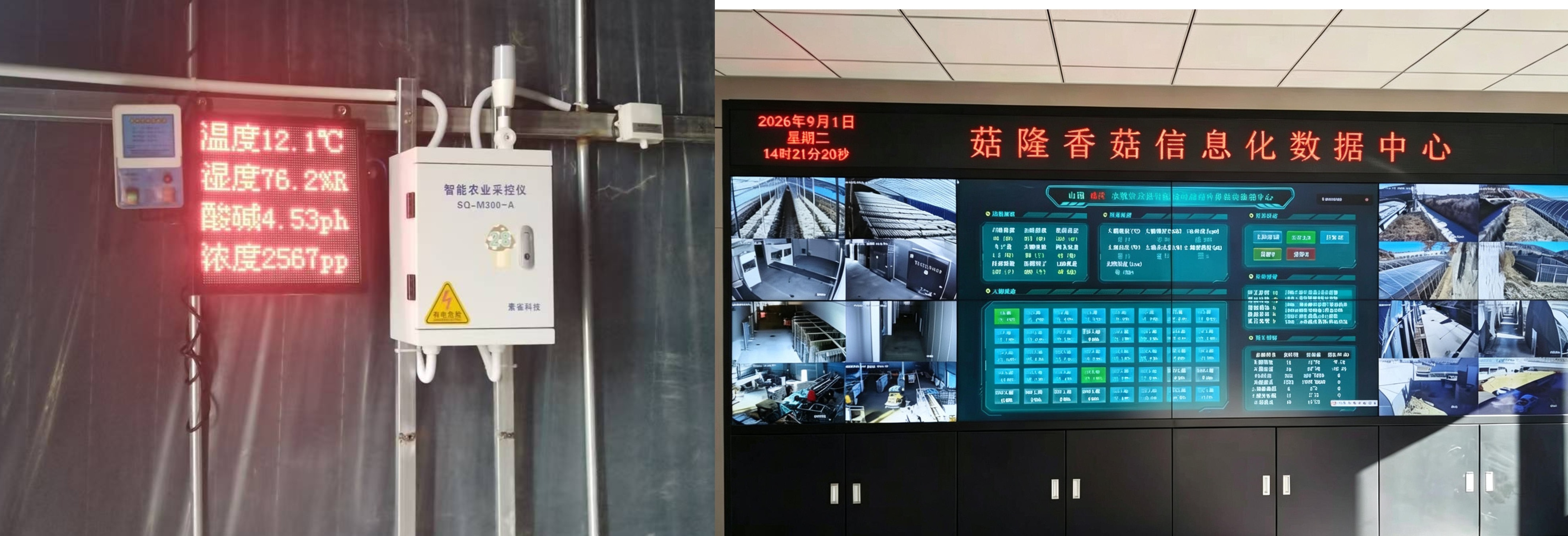 拼版图片.jpg