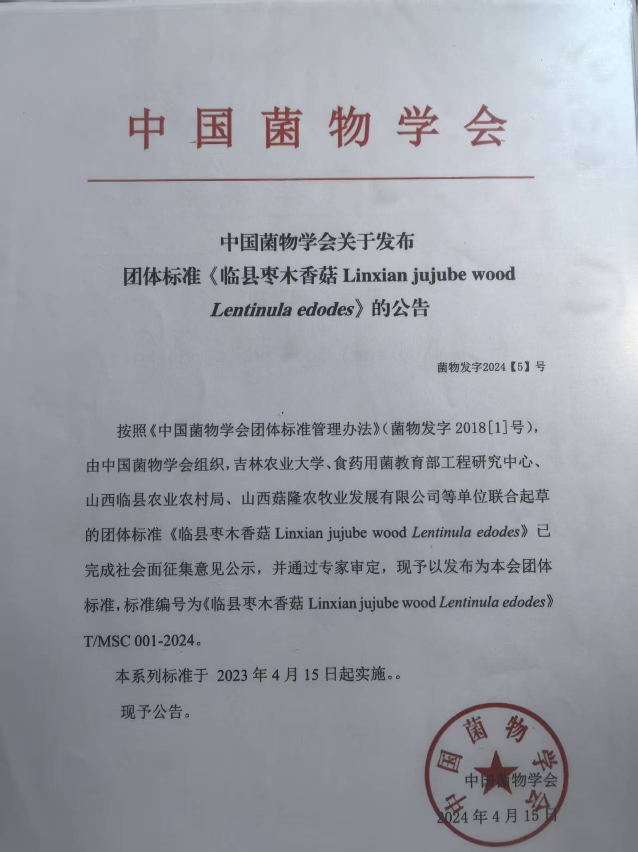 文字3用图.jpg