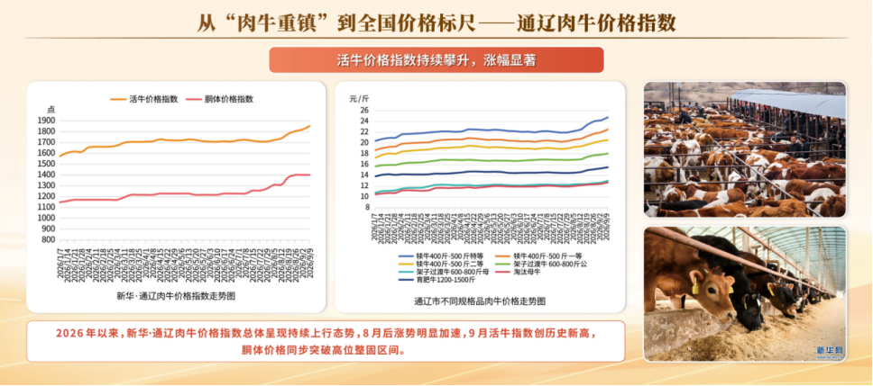 1329ef735e1c4ec1bf37dfbd46e8a4bd.png 1329ef735e1c4ec1bf37dfbd46e8a4bd.png