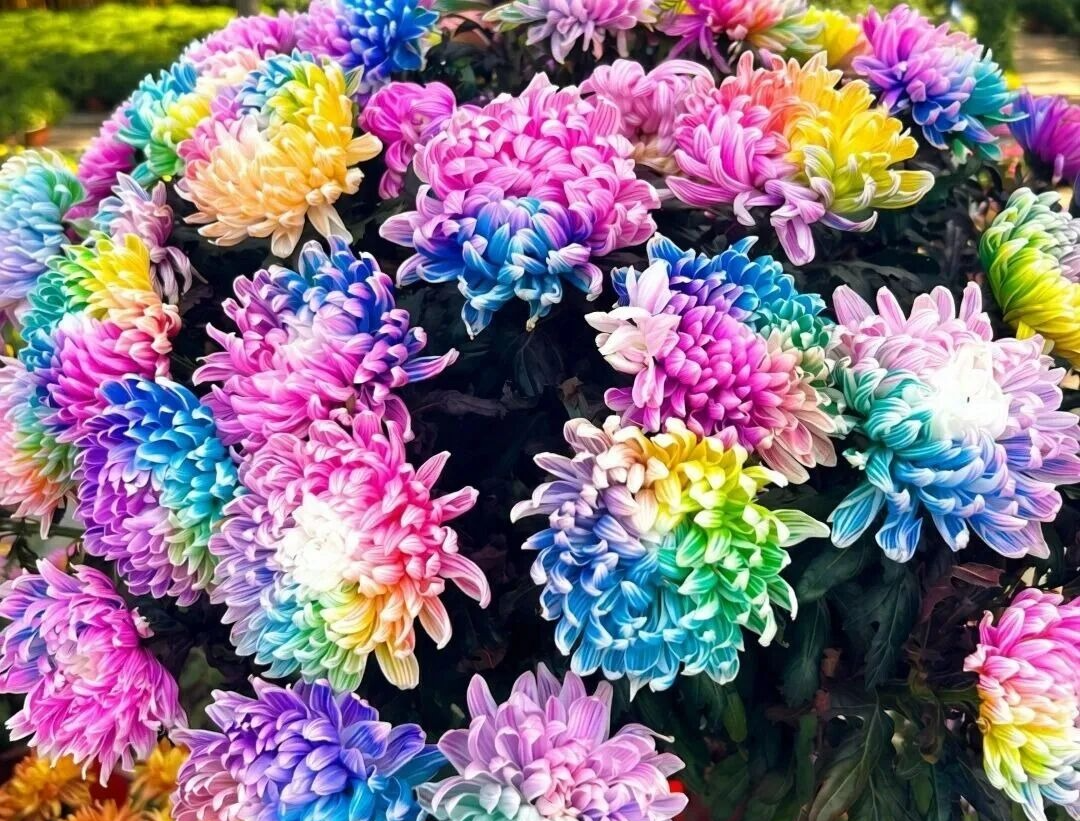 222930a10c164908b88c34e749875b87 222930a10c164908b88c34e749875b87.jpg