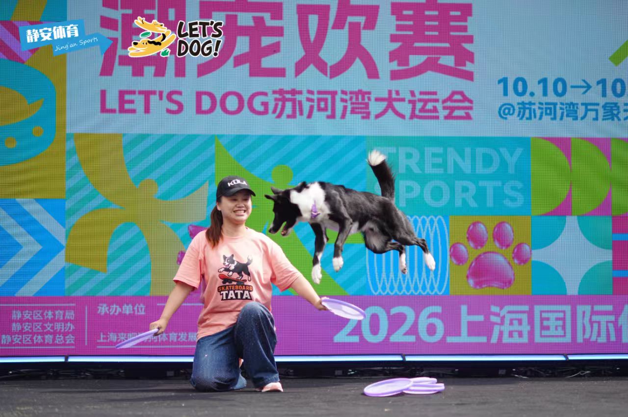 宠物.jpg 宠物.jpg