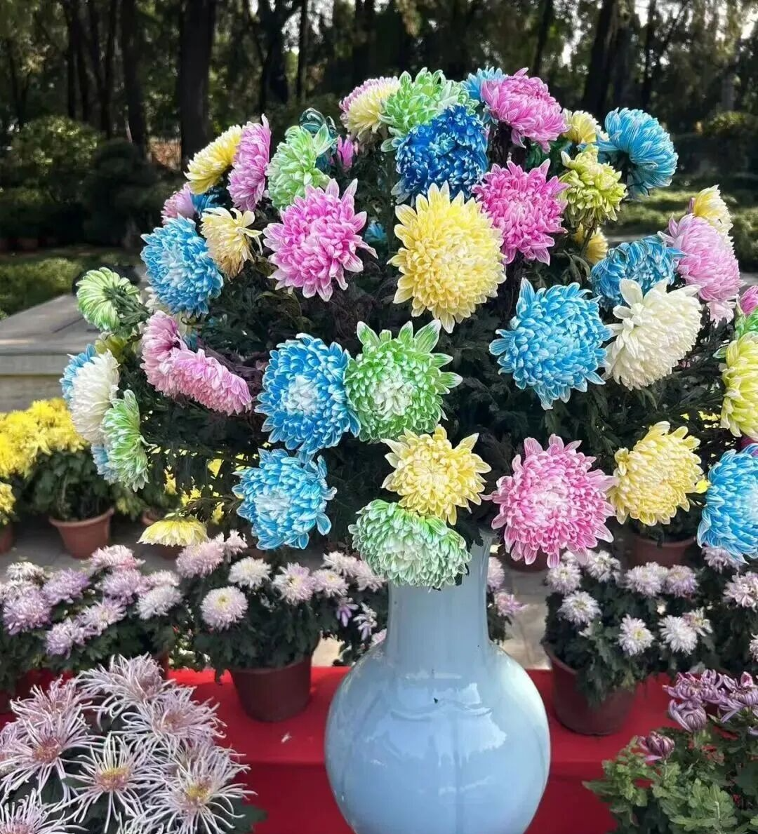 6639f45928b8448db3fe5872f16e705d 6639f45928b8448db3fe5872f16e705d.jpg