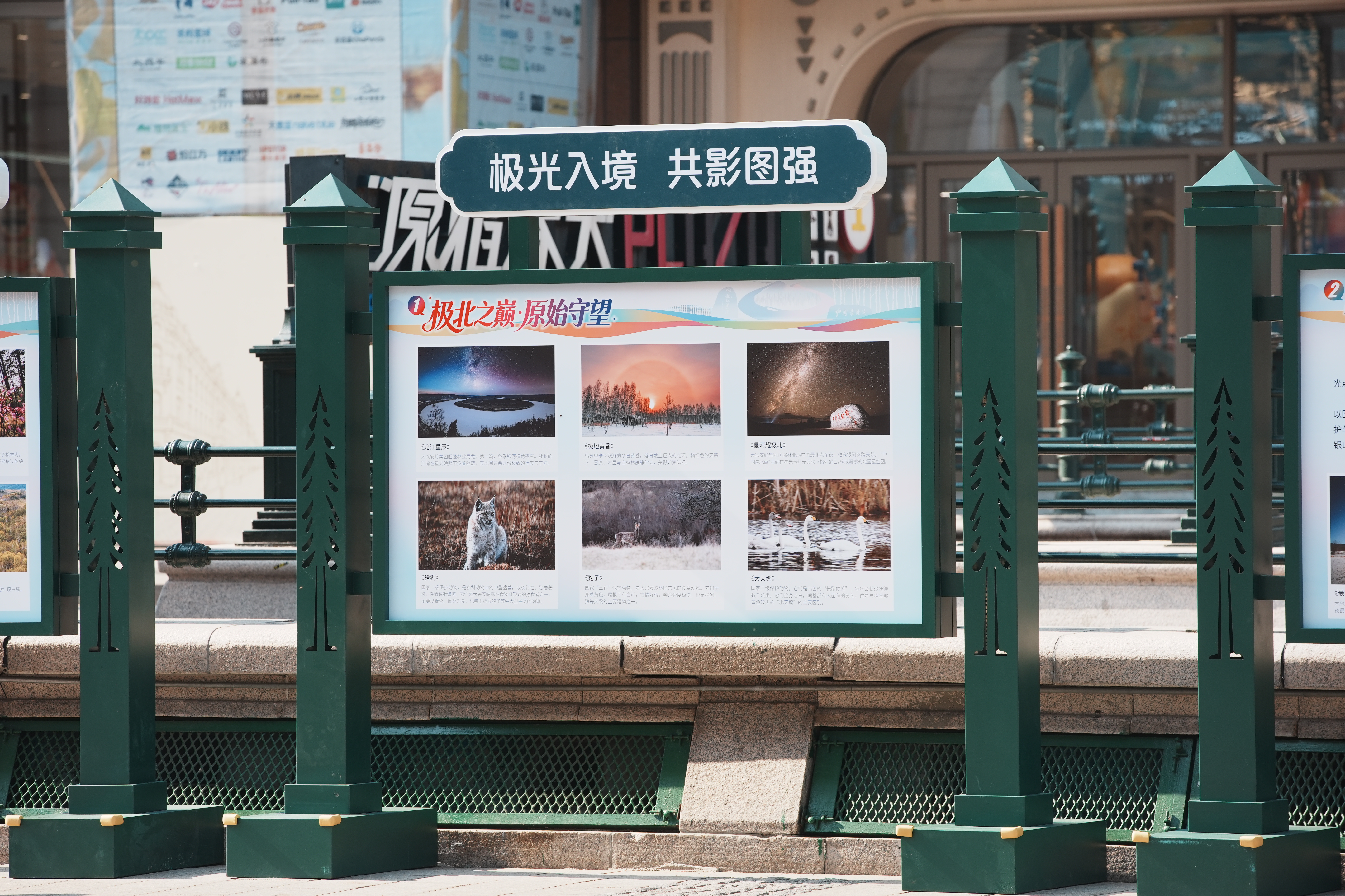 微信图片_20261011133403_68_35.jpg e8d978f8bb314bf8b79cd4a1ddade6b8.jpeg