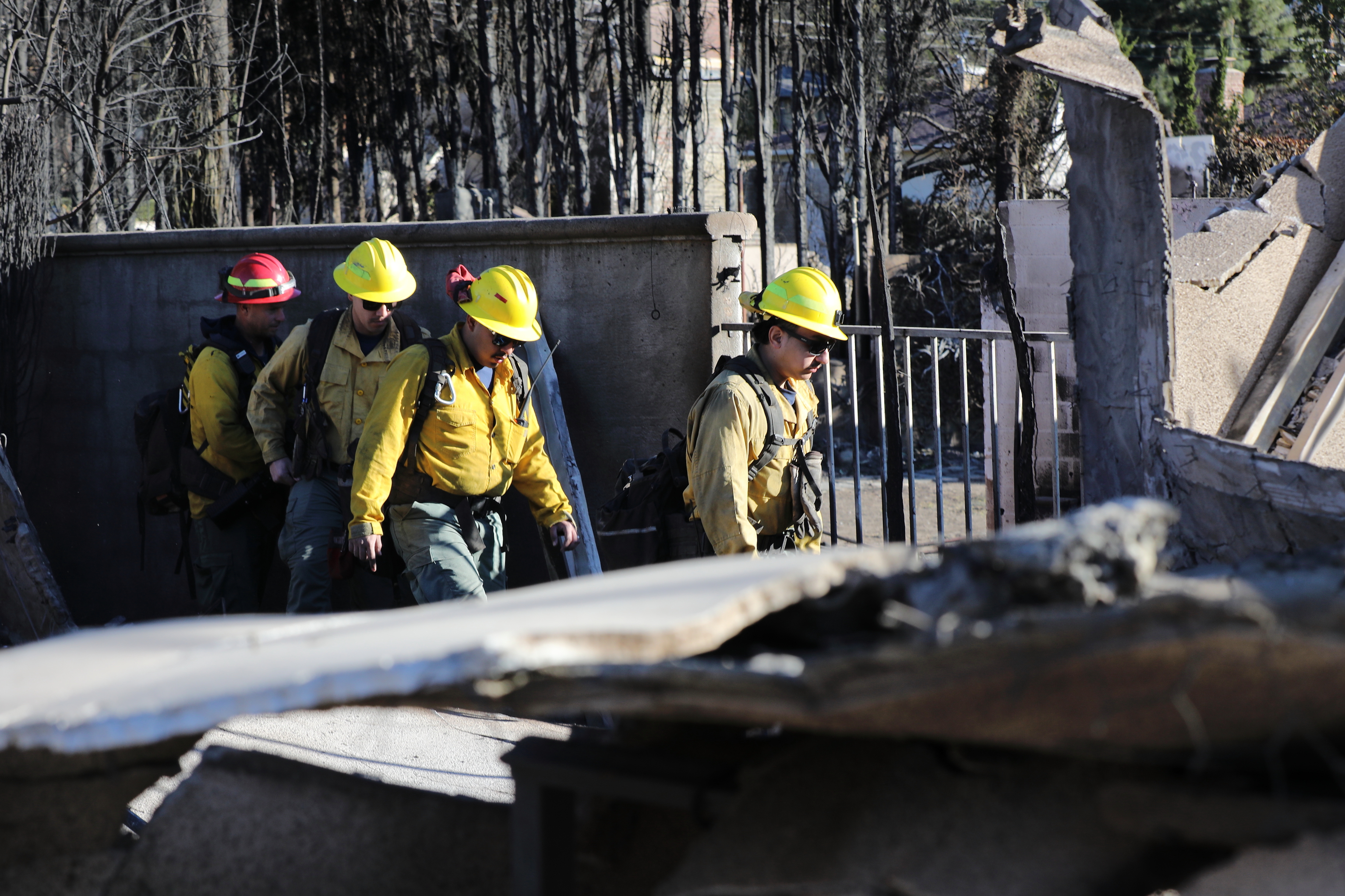 305167861251469312.jpg 305167861251469312.jpg