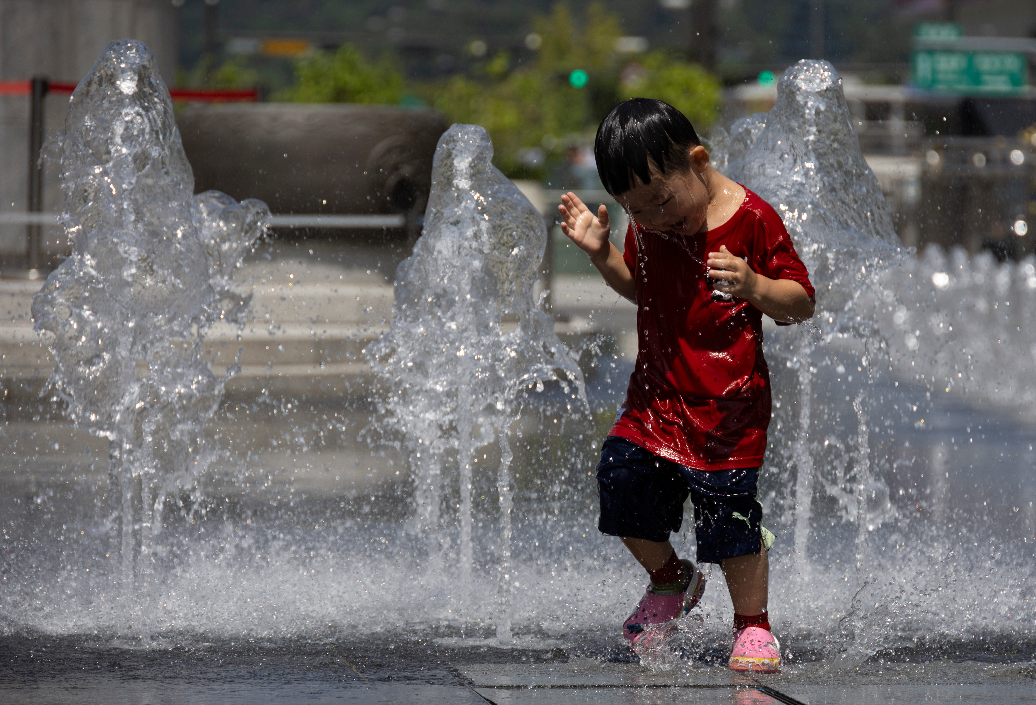 313779133270355969.jpg 313779133270355969.jpg