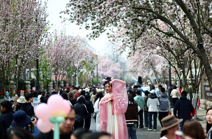 337250877142429697.jpg 337250877142429697.jpg