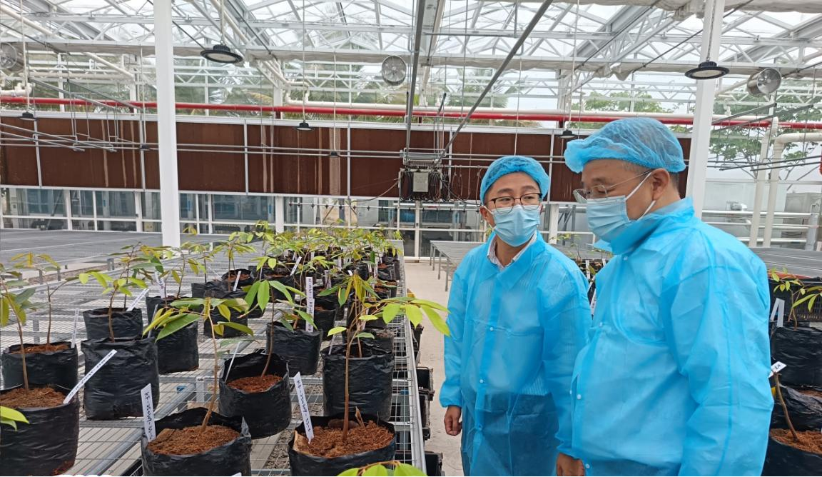 339544777328652288.png 339544777328652288.png