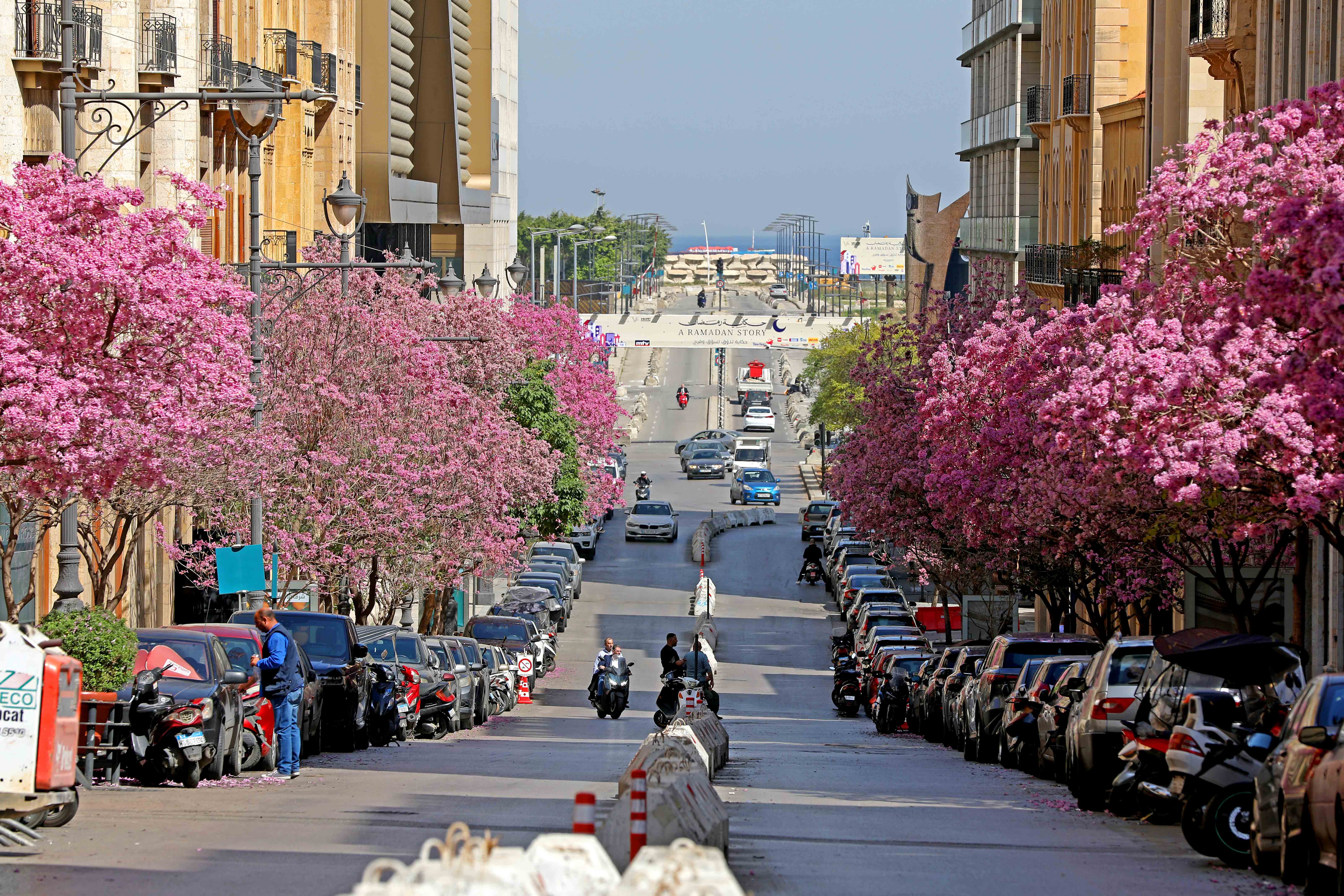 350015494495334400.jpg 350015494495334400.jpg