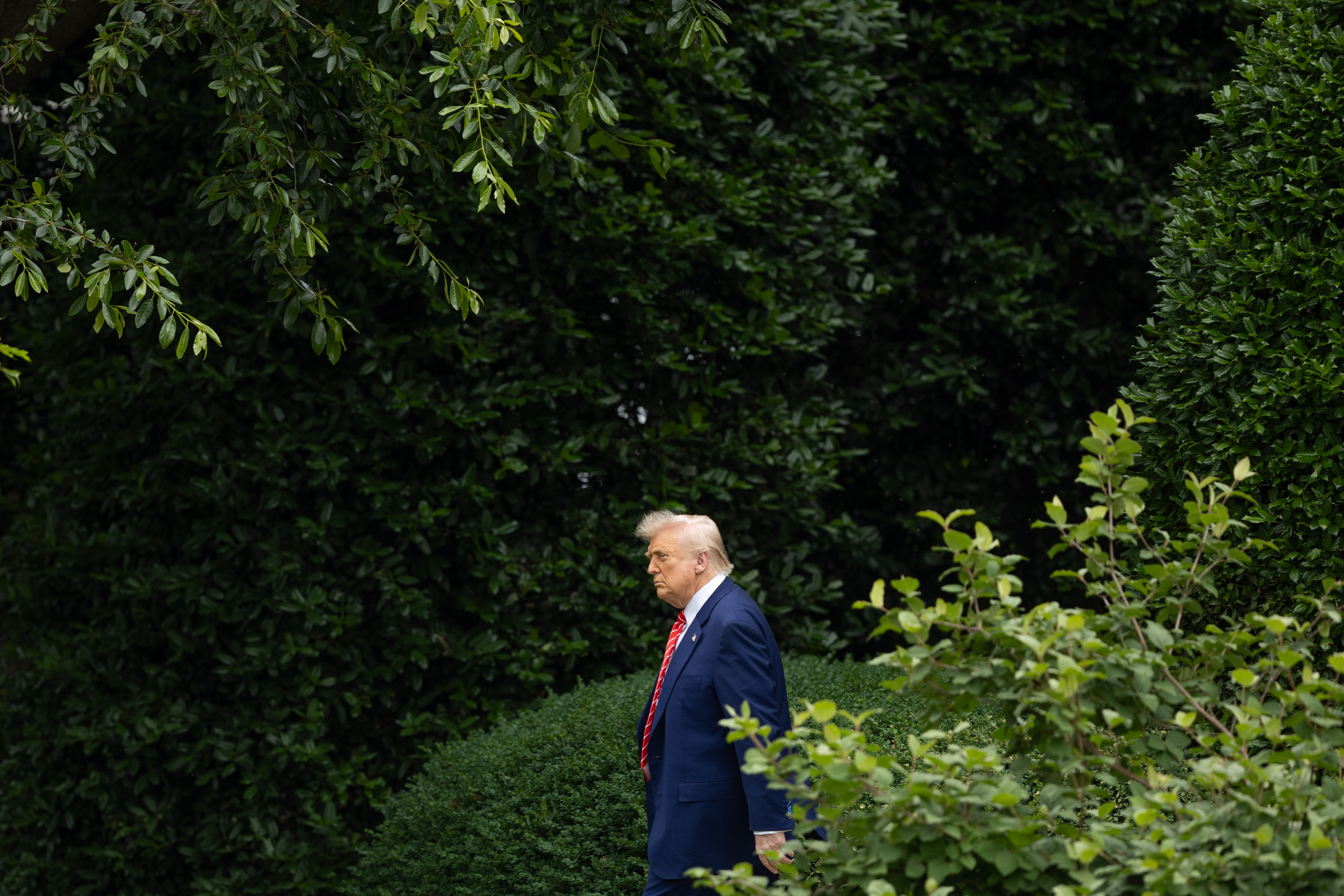 355337129897111552.jpg 355337129897111552.jpg