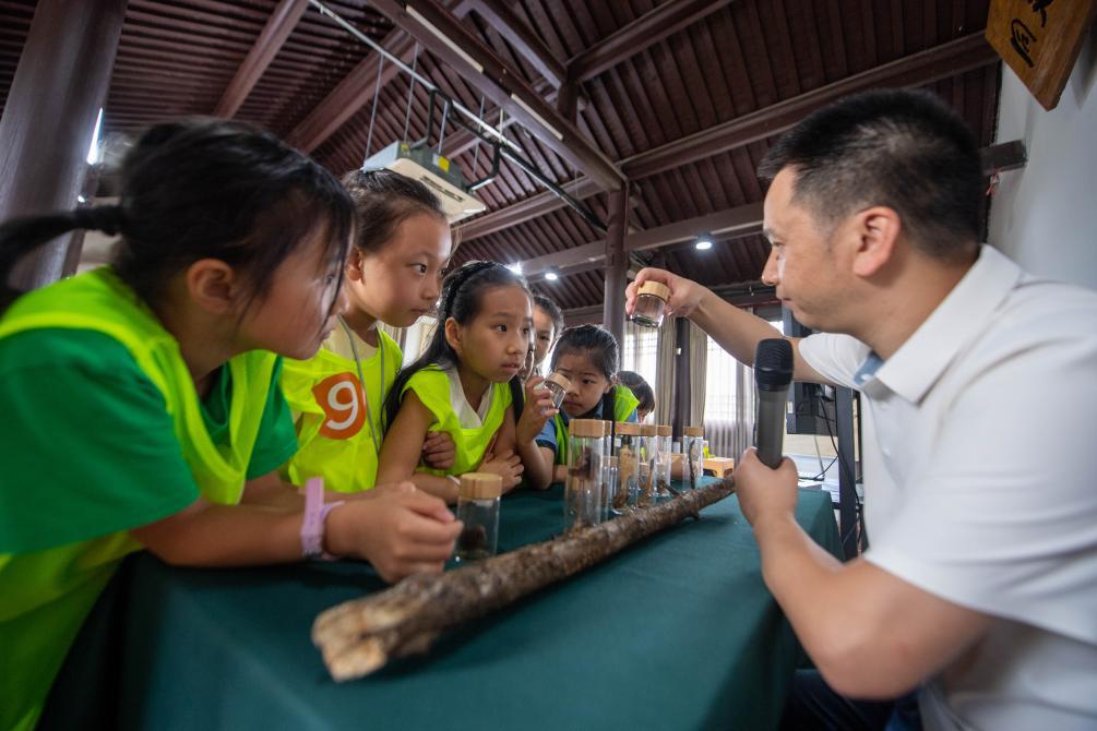 378636075335643137.jpg 378636075335643137.jpg