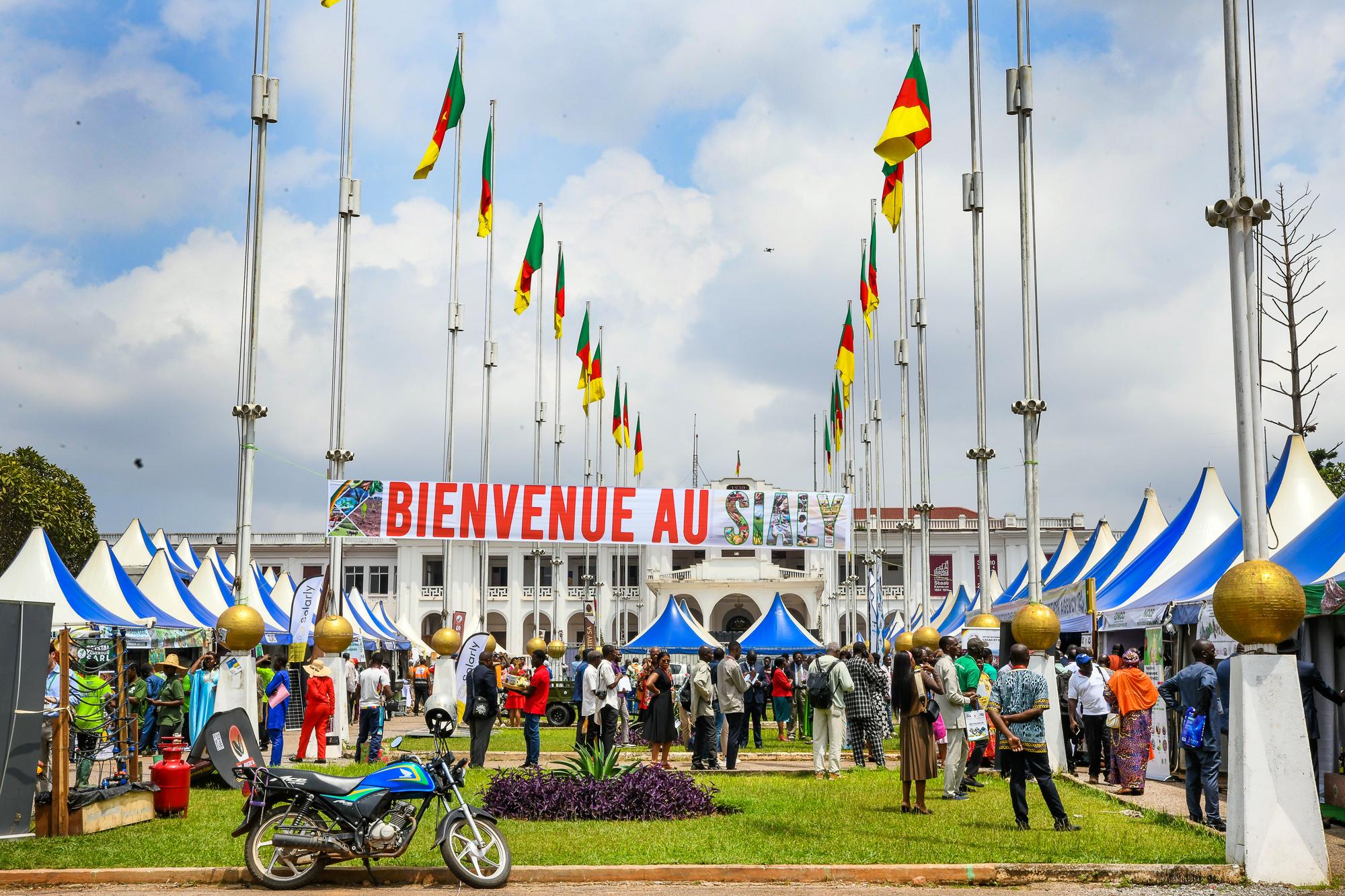 385516944264425472.jpg 385516944264425472.jpg