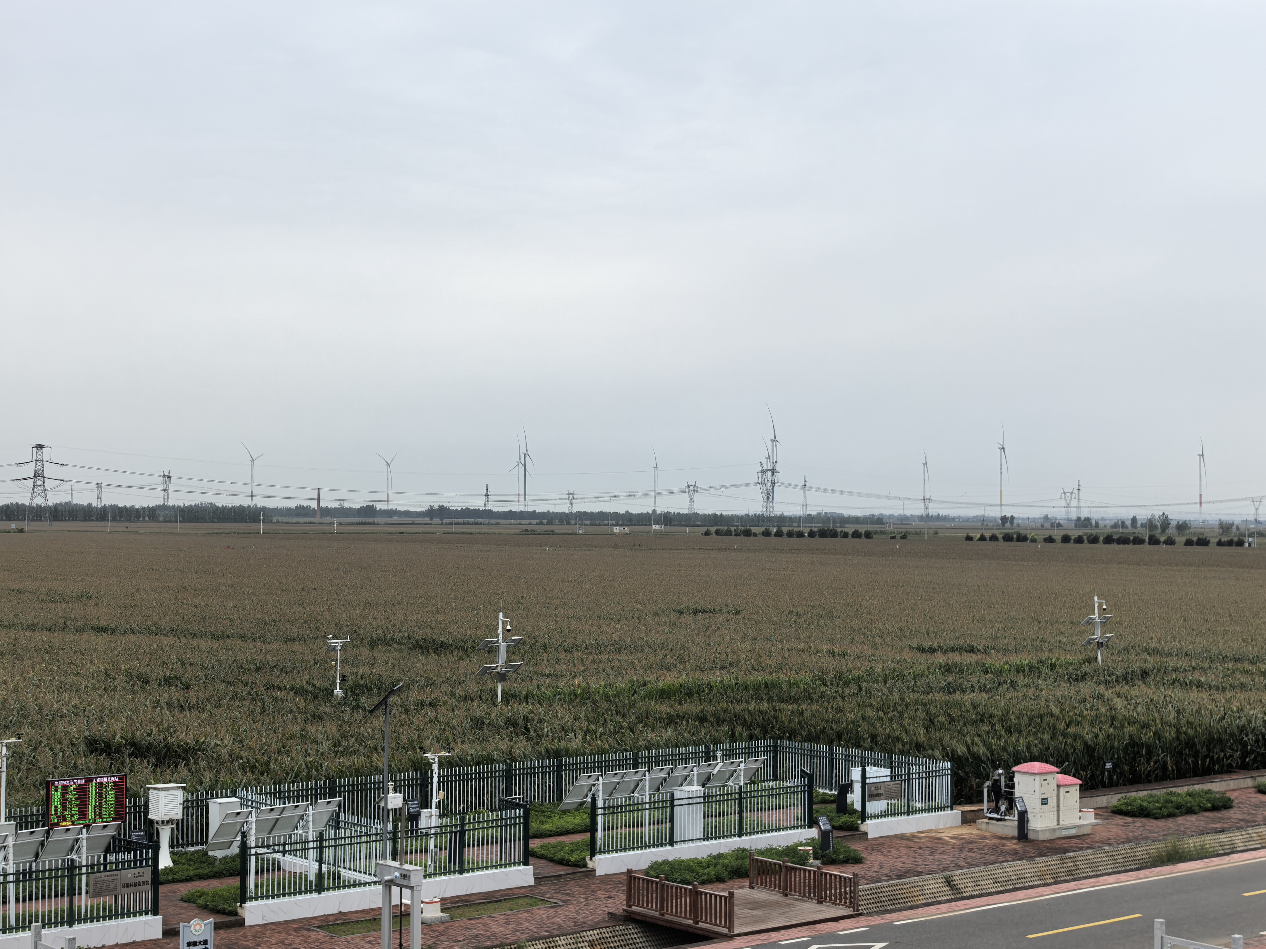 393899547820224512.jpg 393899547820224512.jpg