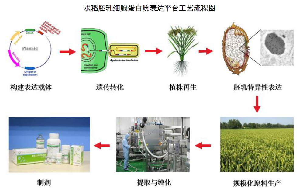 426461253360250880.png 426461253360250880.png