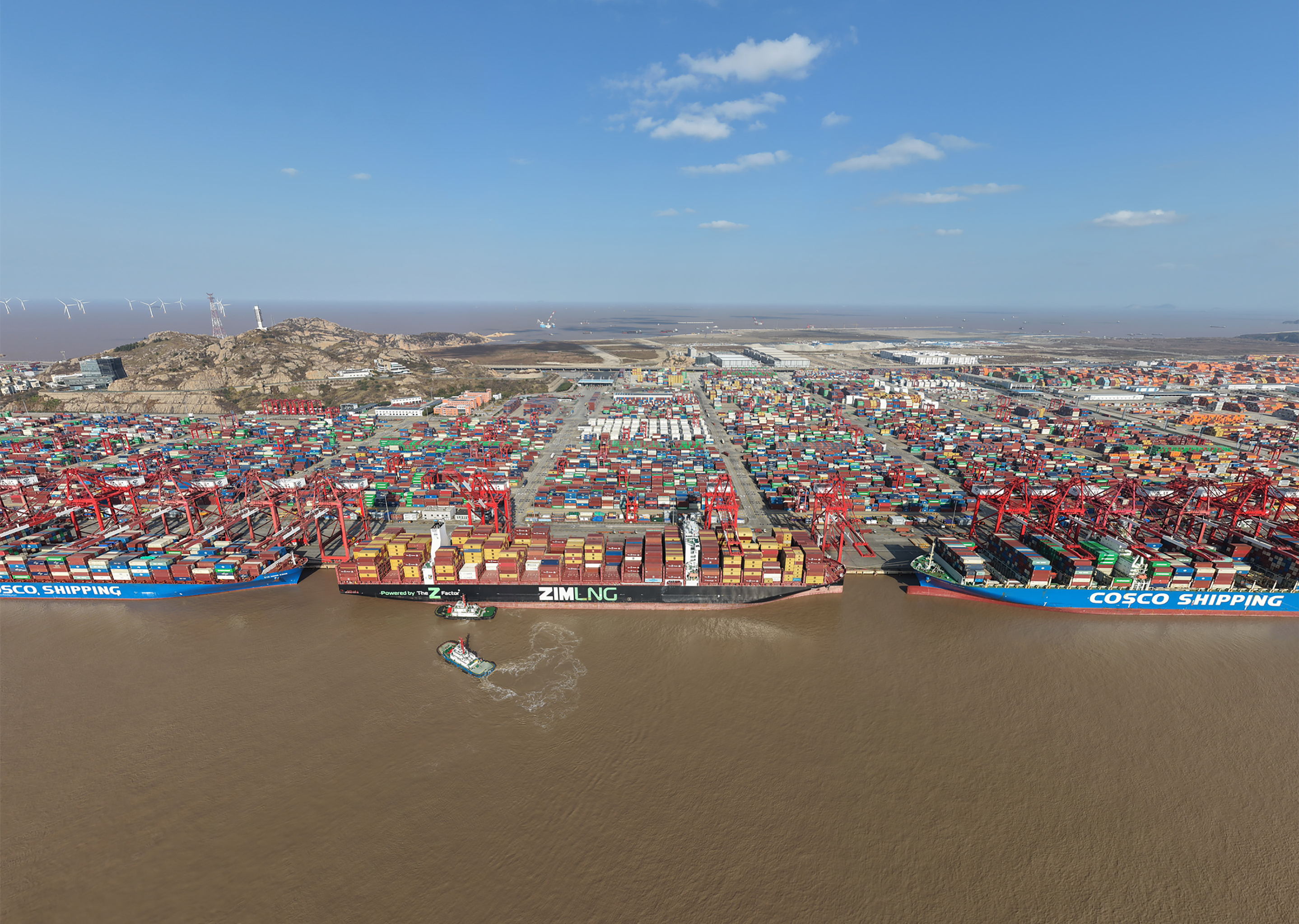 439779612596203521.png 439779612596203521.png