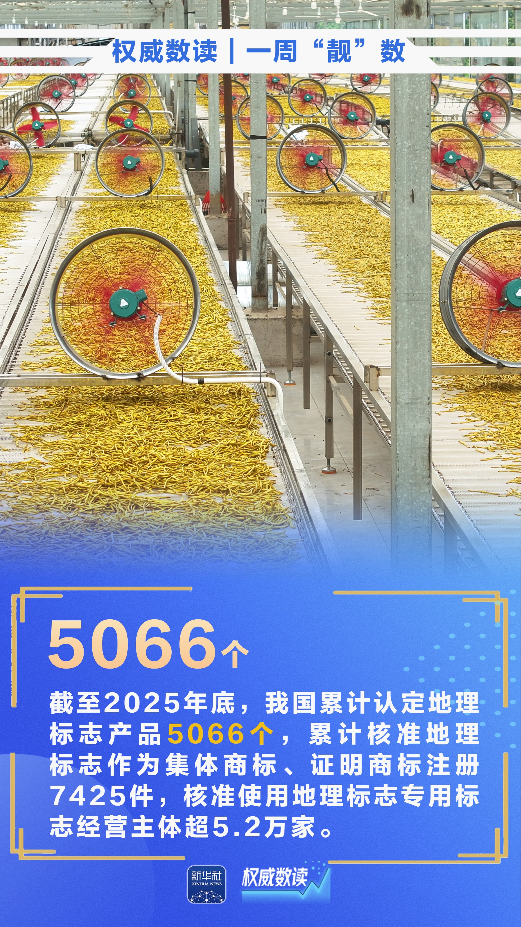 440245177412743169.jpg 440245177412743169.jpg