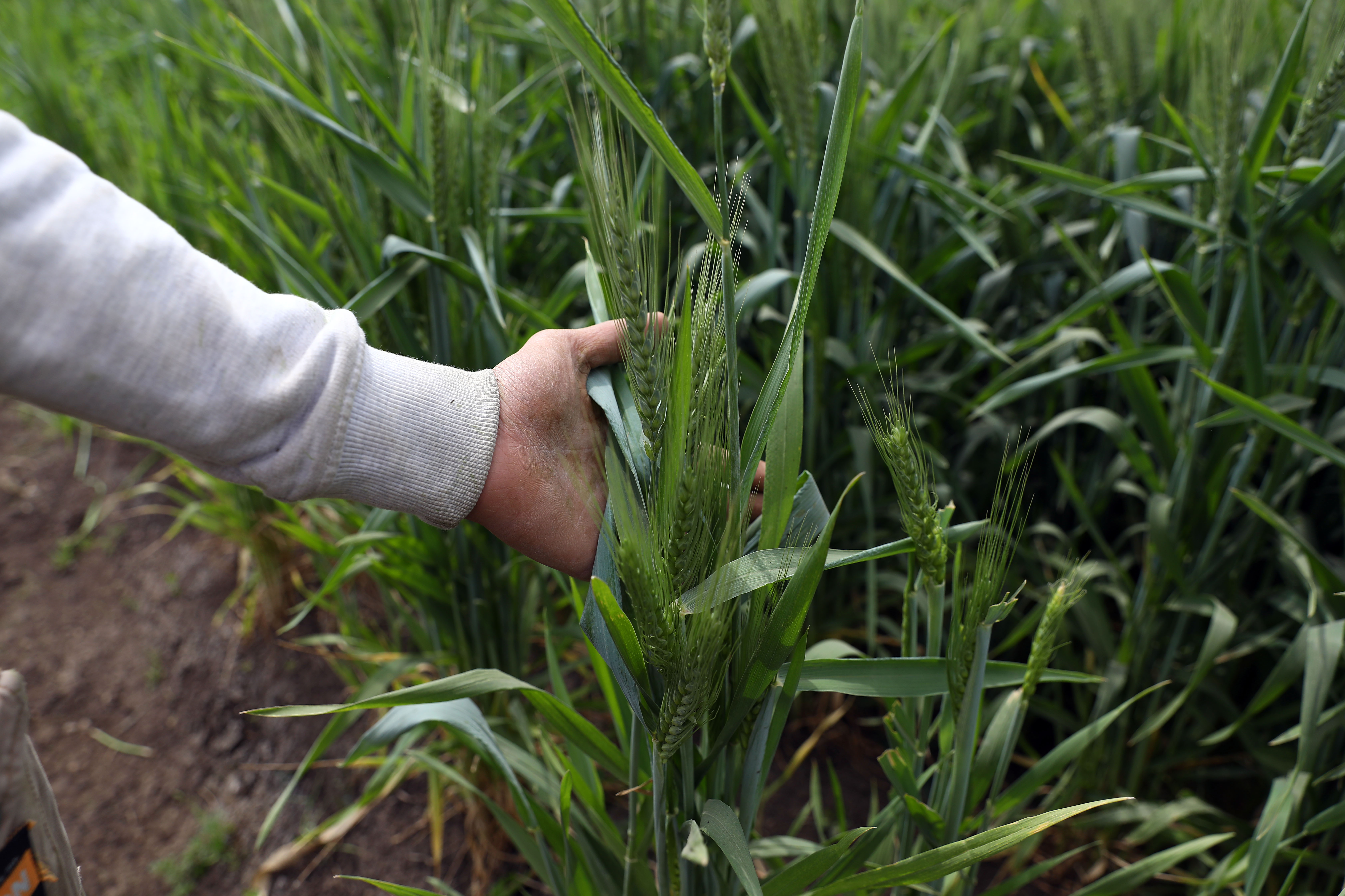 461909124515459073.jpg 461909124515459073.jpg