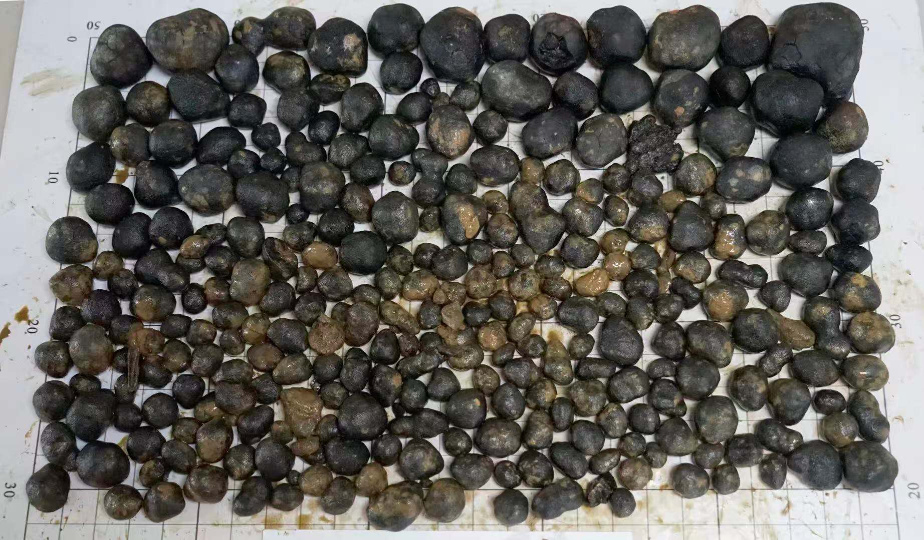 489257233189007361.jpg